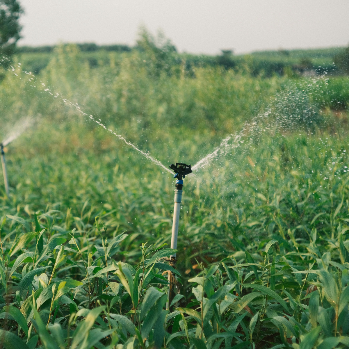 Sprinkler Irrigation Systems